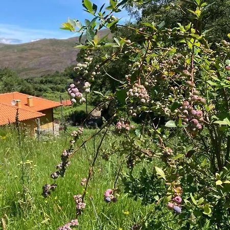 Casa Dos Mirtilos, - Geres